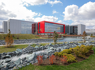 Пищевая промышленность